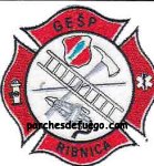 71-gespz-ribnica-ljubljana-2-eslobenia